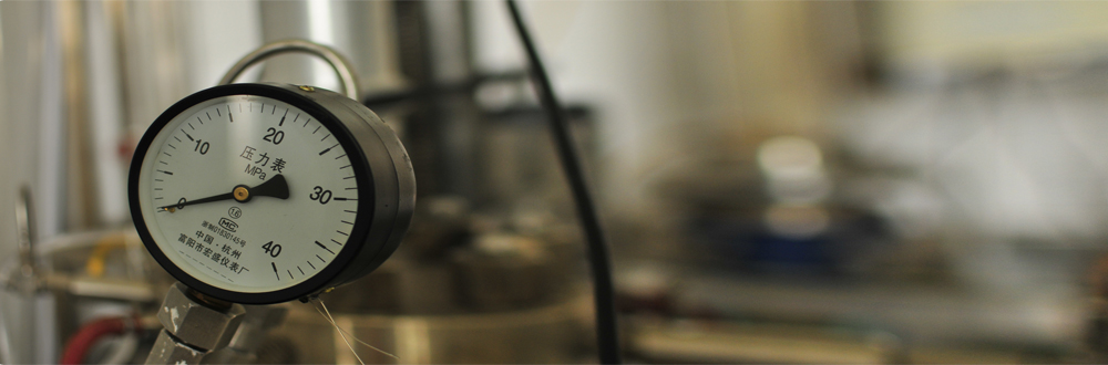 Institute of In...